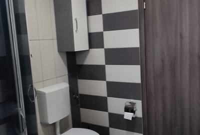 Apartament cu 2 camere decomandat, mobilat în Văcăresti - 10