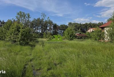 Spațiu comercial, în Goranu - 17