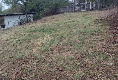 Teren de 2400 mp, în Vâlcea
