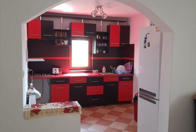 Casă cu 5 camere cu Teren 4000 Mp în Timișești - 3