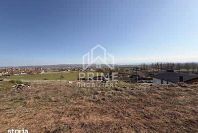Teren de 5600 mp, în Cetate