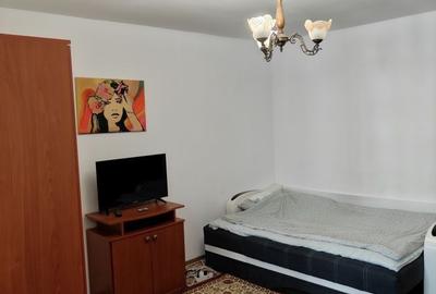 Garsonieră semidecomandată în Dosu Bricii - 3