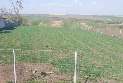 Teren de 2950 mp, în Unțeni - 3
