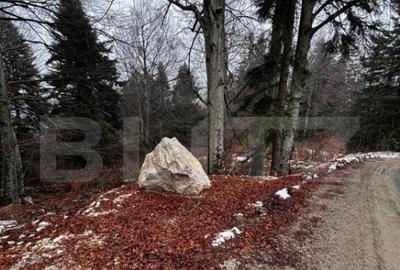 Teren unic, exclusivist 4000 mp, in inima muntilor, Sinaia - 15
