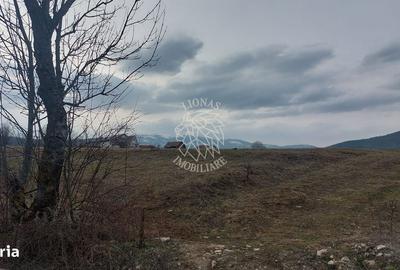 Casă cu 2 camere în Bociu - 6