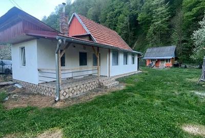 Casă cu 2 camere cu Teren 300 Mp în Nădrag - 3