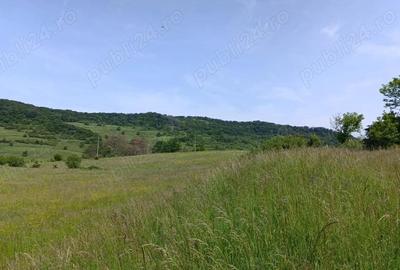 Teren de 30000 mp, în Saschiz - 2