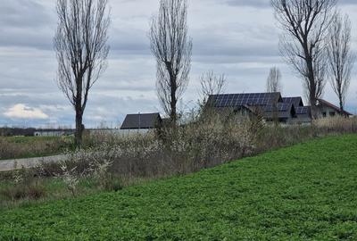 Teren intravilan 2300mp | langa Padurea Snagov | IZVORANI - 7