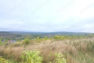 Teren de 1500 mp, în Bârnova - 1