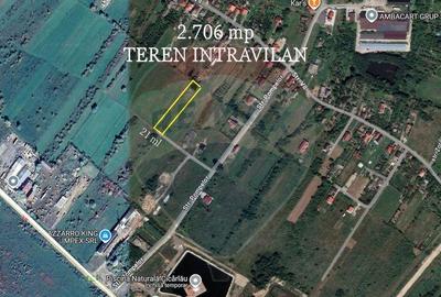 NOU - TEREN DE VANZARE - Cicarlau - 1
