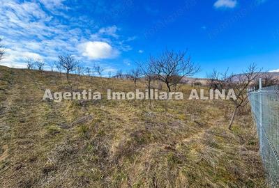 Teren în Călugareni - 15