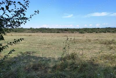 Teren de 7500 mp, în Băicoi - 5