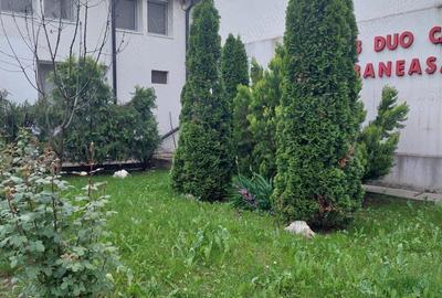 Inchiriez hotel in Baneasa - 2