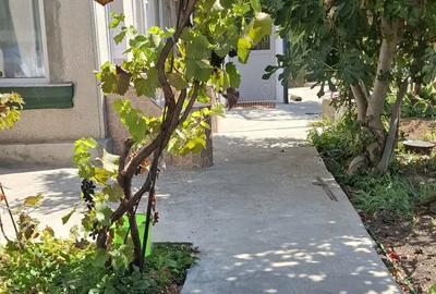 Casă cu 4 camere cu Teren 300 Mp în Brătianu - 1