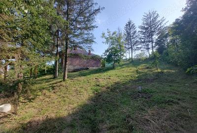 Casa batraneasca cu teren in sat Schitu Scoicesti, com Leordeni, Arge? - 3