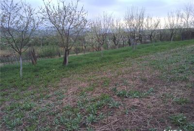 Casă cu 5 camere cu Teren 1200 Mp în Ludoș - 6