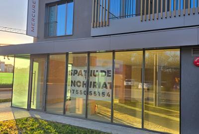 Spatiu Comercial pe Bld. Victoriei vizavi de Parcul Sub Arini - Hotel Mercure - 4