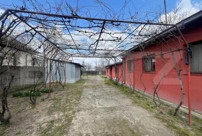 Casă cu 4 camere cu Teren 2000 Mp în Rovine - 14