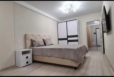 Garsoniera de inchiriat in zona Centrul Civic - 4