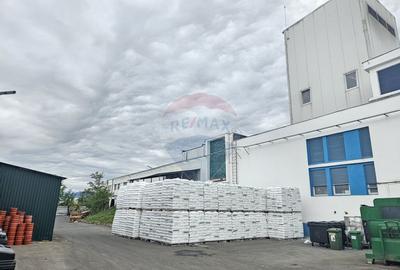 Spa?iu industrial de vanzare - 5