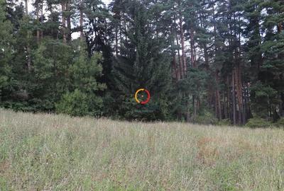 Teren de 1195 mp, în Central - 7