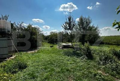 Casă cu 4 camere cu Teren 2400 Mp în Central - 9