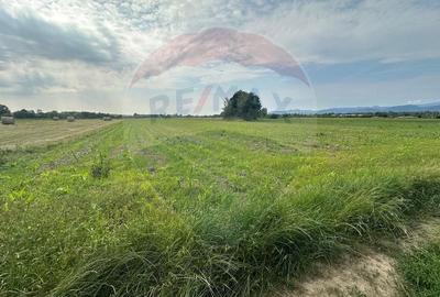 DE VANZARE- Teren INTRAVILAN in Coltau - 2