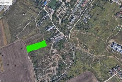 Teren în Jilava - 1