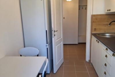 Apartament cu 2 camere decomandat, mobilat în Podul de Fier - 3