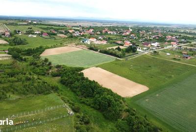 Teren de 2935 mp, în Viile Satu Mare - 1