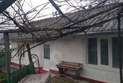 Casa muntenii de jos - 5