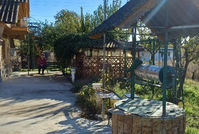 Casa și teren de vanzare Casa și teren de vanzare - 5