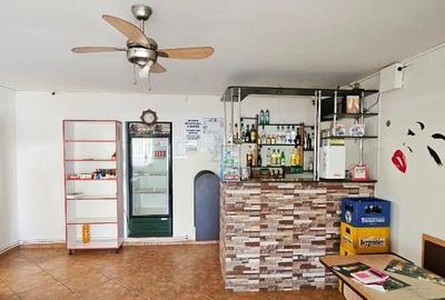 Proprietate multifunctionala,com.D-va Rosie,casa+sp.comercial+teren - 12