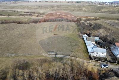 Teren agricol intravilan de 2592 mp, în Lipoveni - 8