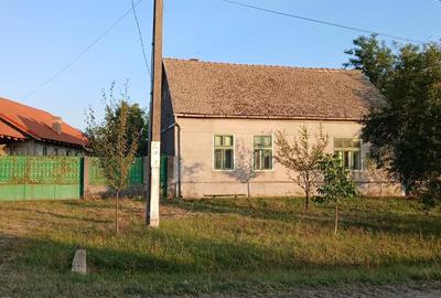 Casă cu 3 camere cu Teren 2877 Mp în Iosif - 1