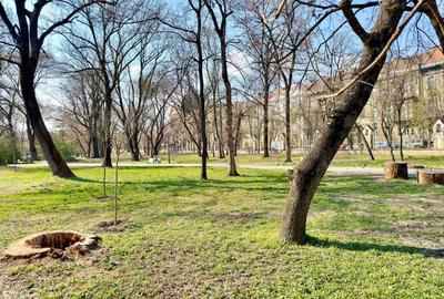 Birou, de 85.730003356934 mp, în Central - 20