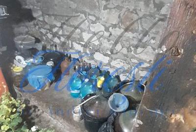 Casă cu 4 camere cu Teren 4000 Mp în Cuzăplac - 2