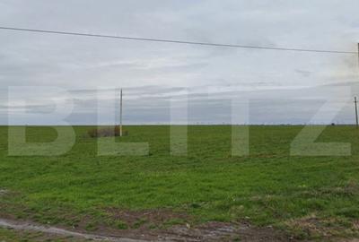 Teren de 16000 mp, în Central