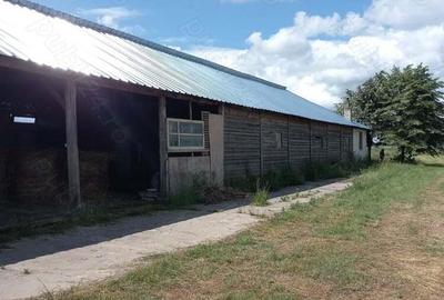 Vand saivan animale ?i teren aferent 2 ha Vand saivan animale ?i teren aferent 2 ha - 4