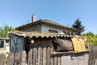 Casă cu 5 camere în Oltina - 1