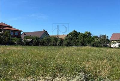 Teren intravilan de 1100 mp, în Bucovăț (Remetea Mare)