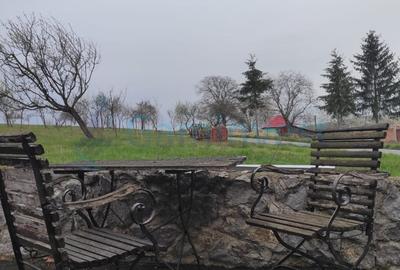 Cabană în zonă montană, Bihor, oportunitate de investiție,Gaminvest, V3155B - 11