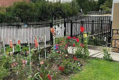 Casă cu 3 camere cu Teren 6600 Mp în Nădăștia