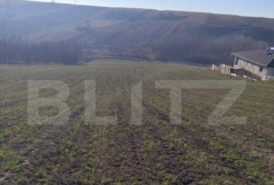 Teren 5000 mp Rediu, oportunitate investitie - 2