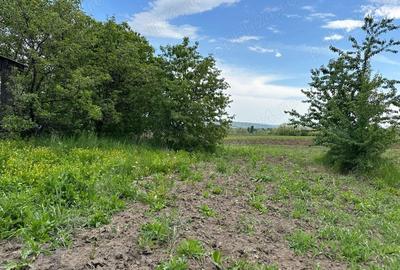 Casă cu 5 camere în Central