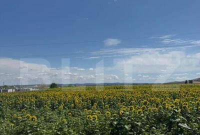 Teren intravilan 20000 mp, Parc Industrial Badeni - 3