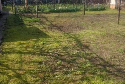 Casă cu Teren 530 Mp în Central - 2