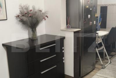 Apartament 3 camere, decomandat, 60mp. Parter inalt, zona Bu - 13