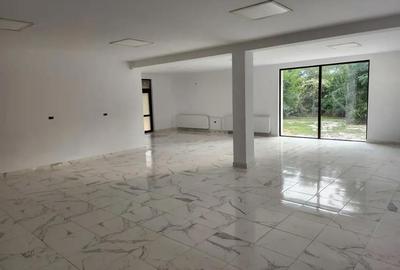 Spațiu comercial, de 450 mp, în Stejaru (Farcașa) - 5