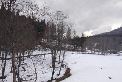 Casă cu 30 camere cu Teren 2639 Mp în Măneciu - 6